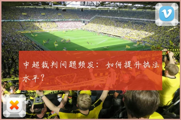 中超裁判问题频发:如何提升执法水平?