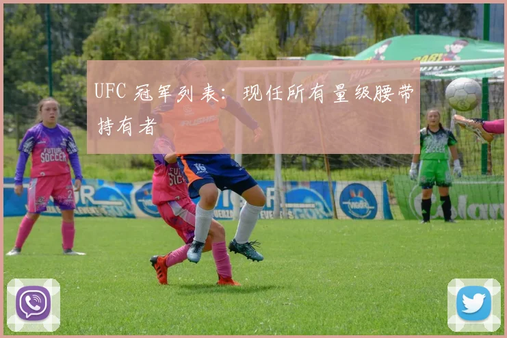 UFC 冠军列表:现任所有量级腰带持有者