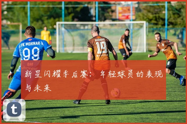 新星闪耀季后赛:年轻球员的表现与未来